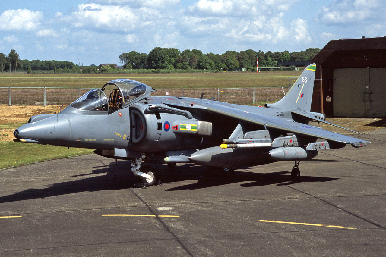 English Harrier